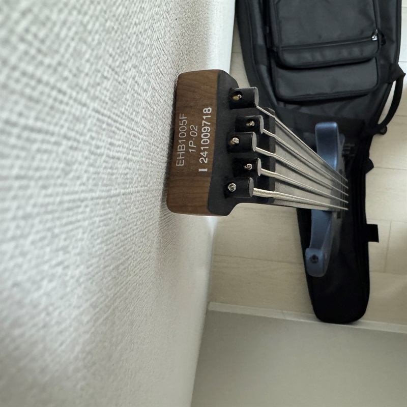 Ibanez EHB1005F-AOMの画像